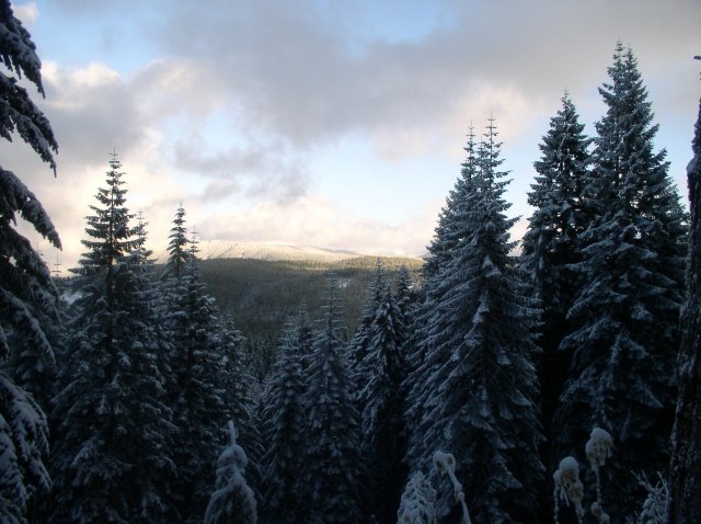 11.27.05 Nesmith Point 073 